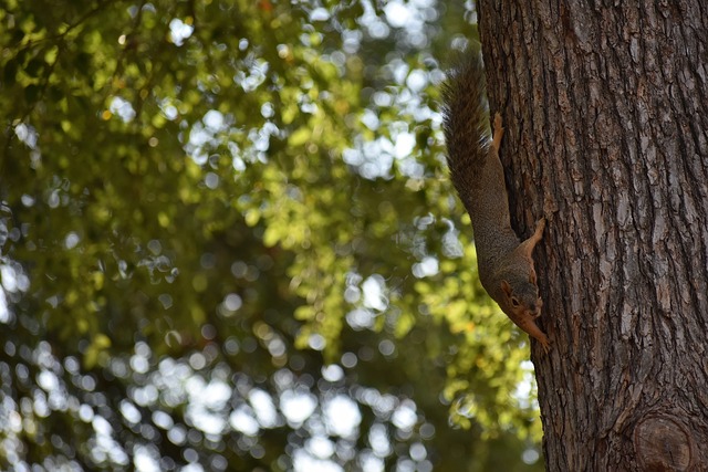 队合作中得 队合作中得