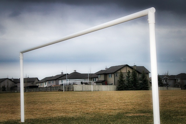 钢铁般的意 钢铁般的意