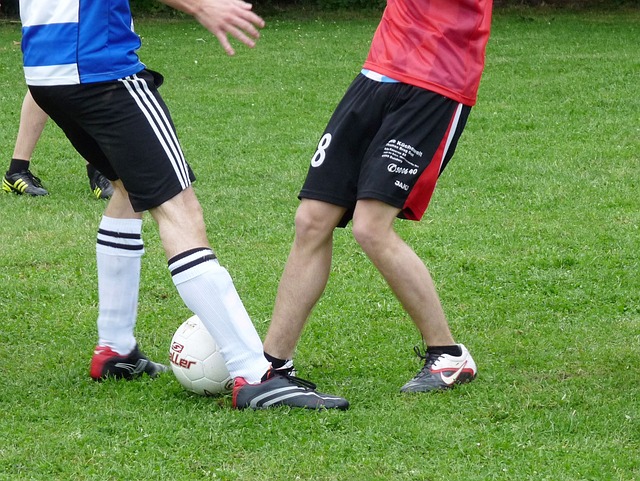 郑钦文和凯斯训练，两人在签表的不同半区.