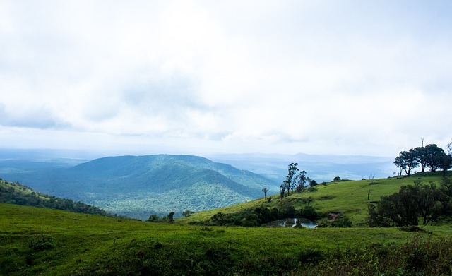 彩三分球的 彩三分球的
