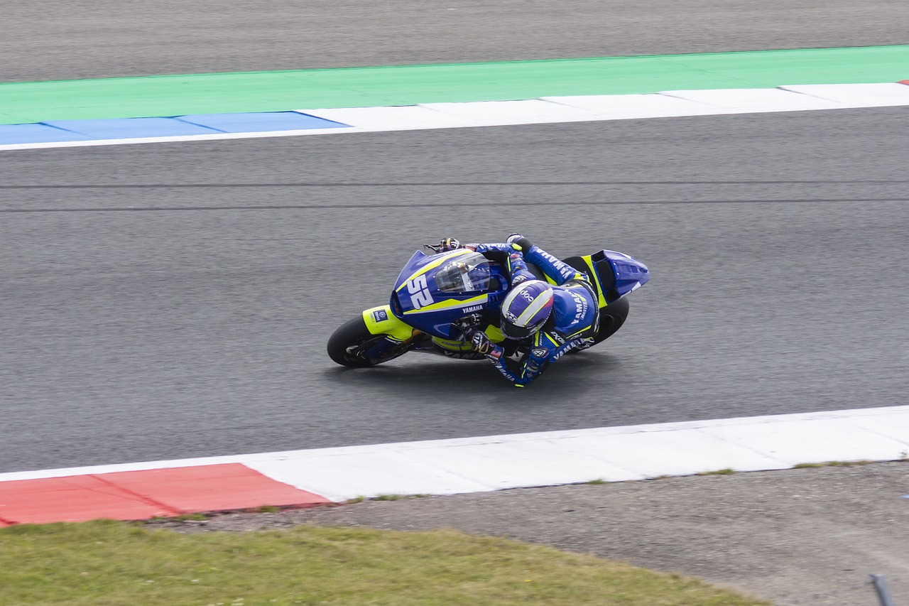 我们期待看 我们期待看