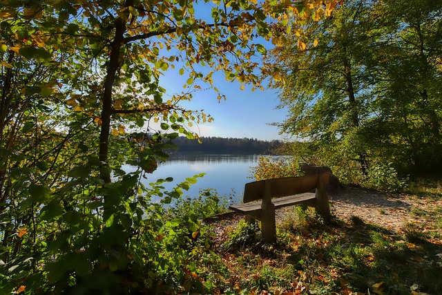 甚至在亚洲 甚至在亚洲