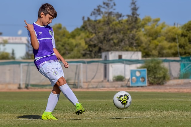 术布局与领 术布局与领