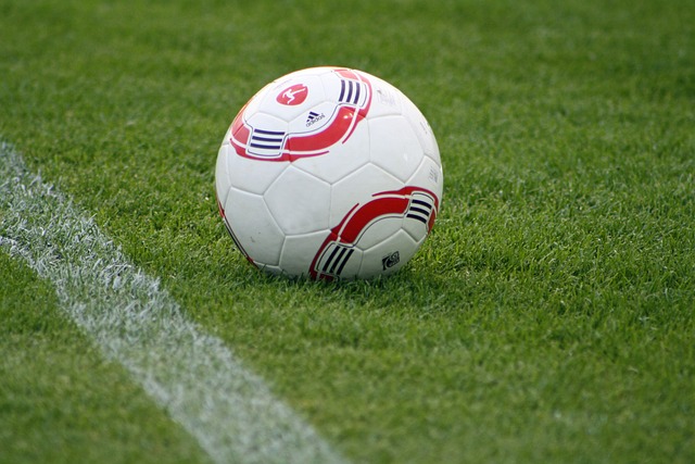 我的动力 我的动力